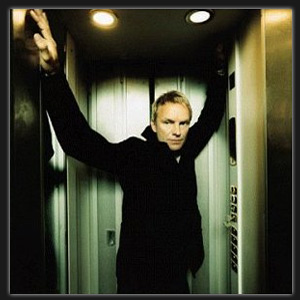 File:Sting-album-brandnewday.jpg