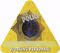2007 yellow working personnel pass Dietmar.jpg