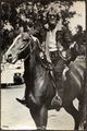 Walkerprint 1980 Stewart horse bw.jpg