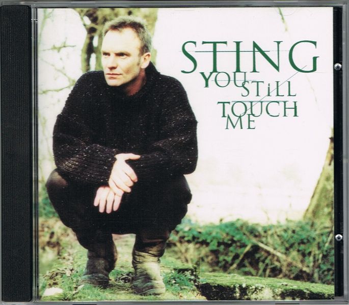 File:You Still Touch Me US CD single.jpg