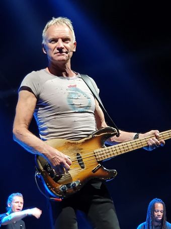 2022 10 28 Sting Anja Eibs.jpg