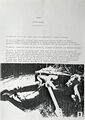 Thumbnail for version as of 02:42, 18 September 2024