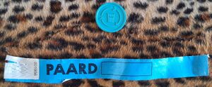 2025 04 19 meet and greet button wristband Veronika Janicki.jpg
