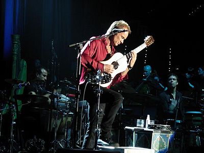 2010 11 03 Sting LuigiAmati.jpg