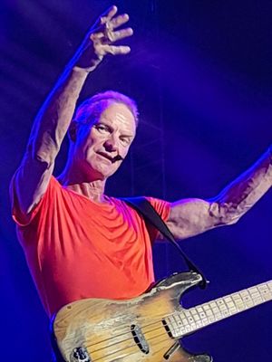 2022 07 16 Sting Stepanka Krizova.jpg
