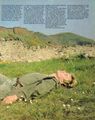 Thumbnail for version as of 23:30, 23 October 2024