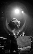 1977 05 06 Sting Zecca Howard Sherwood.jpg