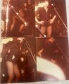 1977 04 27 Peter Murphy 02.jpg
