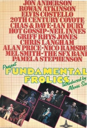 Fundamental Frolics VHS cover.jpg